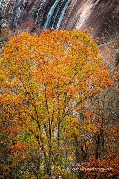 Autumn at Stone Mountain