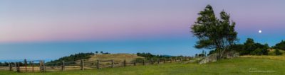 Belt of Venus