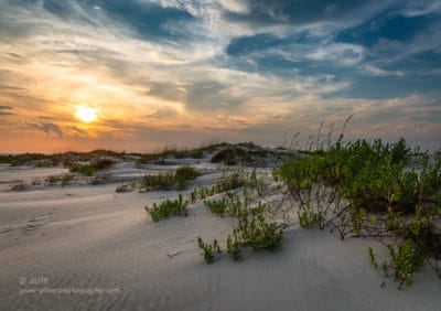 Evening at the Dunes