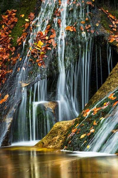 Golden Falls