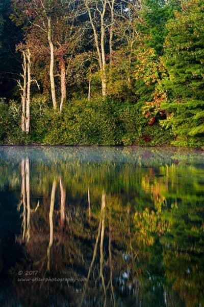 Life Reflections