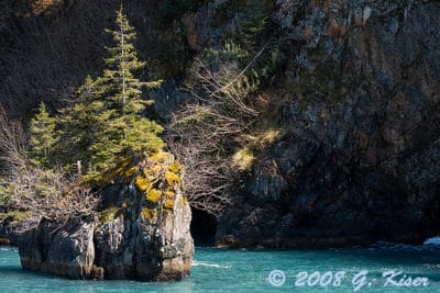 Small Island