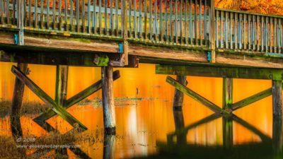 Autumn Boardwalk