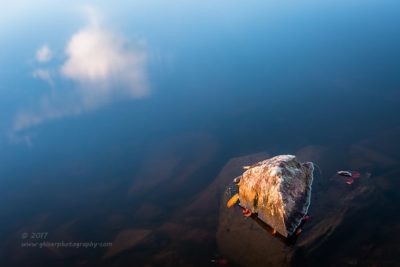Breaching the Surface