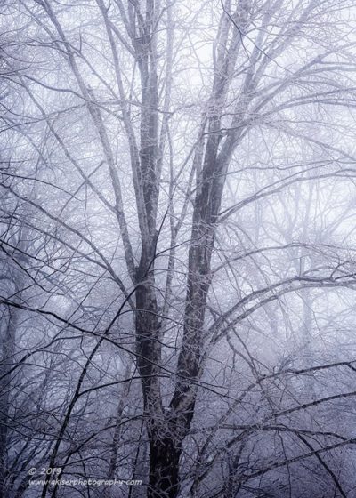 Crackle of Ice,  Canon 5D Mk3, 70-200mm f/2.8L Mk2