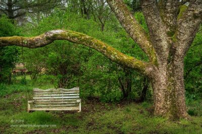 "A Comforting Arm",   Canon 5D Mk3, 24-70mm f/2.8L Mk2, Singh-Ray Color Combo Polarizer