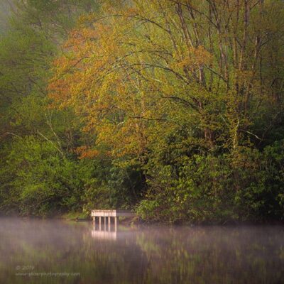 "Spring Seclusion",   Canon 5D Mk3, 70-200mm f/2.8L Mk 2, No filters