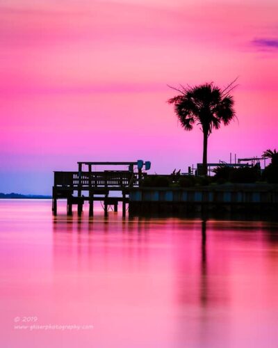 "Summer at the Palms",  Canon 5D Mk3, 70-200mm f/2.8L Mk2, No filters