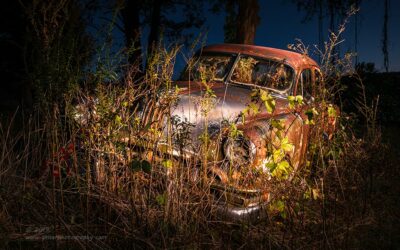 "All Grown Up",   Canon 5D Mk3, 24-70mm f/2.8L Mk2, No Filters, 97 seconds