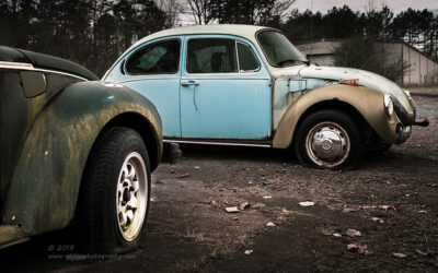 "Family Ties",  Canon 5D Mk3, 24-70mm f/2.8L Mk2, Singh-Ray Color Combo Polarizer