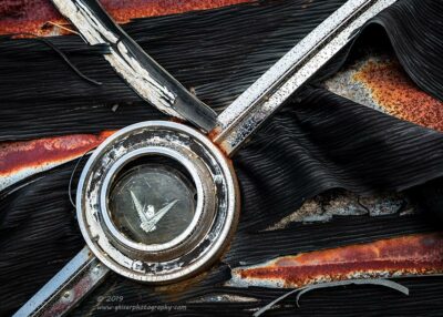 "Tattered Bird",   Canon 5D Mk3, 24-70mm f/2.8L Mk2, Singh-Ray Color Combo Polarizer