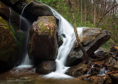 "At Your Side",   Canon 5D Mk3, 24-70mm f/2.8L Mk2, Singh-Ray Color Combo Polarizer