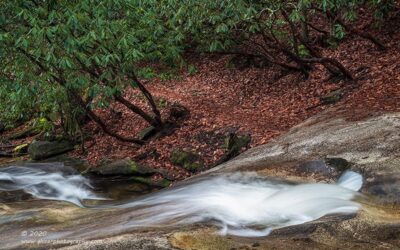 "Woodland Spirits",   Canon 5D Mk3, 24-70mm f/2.8L Mk2, Singh-Ray Color Combo Polarizer