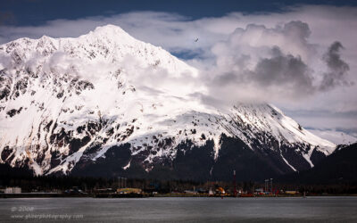 "Seward and the Gull",   Canon 40D, 70-200mm f/4L, No filters