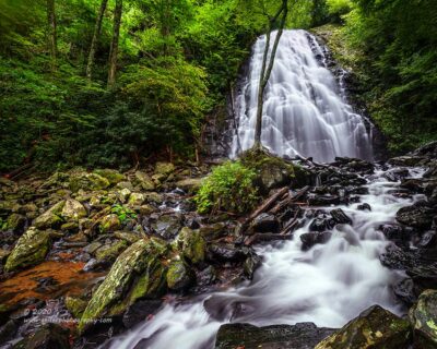 "A Forest Rush",   Canon 5D Mk3, 16-35mm f/2.8L Mk2, Singh-Ray Color Combo Polarizer