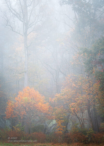 "Autumn Mist",   Canon 5D Mk3, 70-200mm f/2.8L Mk2, No Filters