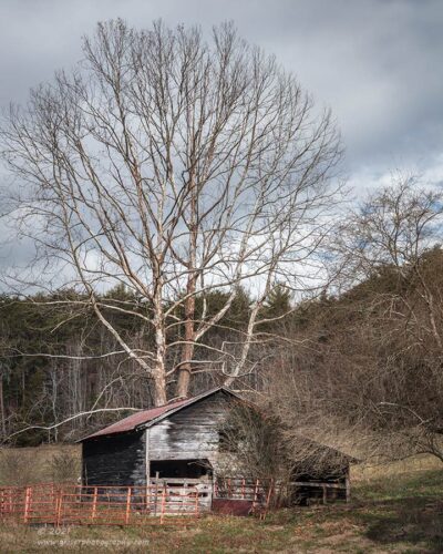 "Echoes of the Farm",   Canon 5DS R, 24-70mm f/2.8L Mk2 Singh-Ray Color Combo Polarizer