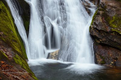 "Mossy Embrace",   Canon 5DS R, 70-200mm f/2.8L Mk2, Singh-Ray Color Combo Polarizer