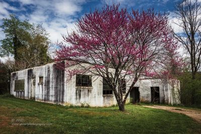 "Freshness of Spring",   Canon 5DS R, 16-35mm, No Filters