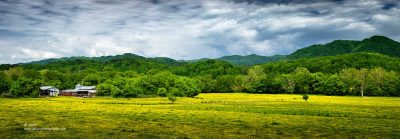 "Alone in the Field",   Canon 5DS R, 70-200mm f/2.8L Mk2, Singh-Ray Color Combo Polarizer, 7 images stitched in Lightroom