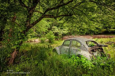 "Bug by the Stream",  Canon 5DS R, 24-70mm f/2.8L Mk2, Singh-Ray Color Combo Polarizer