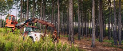 "Far From Finished",   Canon 5DS R, 24-70mm f/2.8L Mk2, Singh-Ray Color Combo Polarizer, Galen Rowell 2-stop soft edge ND Grad, 3 image pano