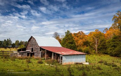 "Bovine Devine",   Canon 5DS R, 24-70mm f/2.8L Mk2, Singh-Ray Color Combo Polarizer