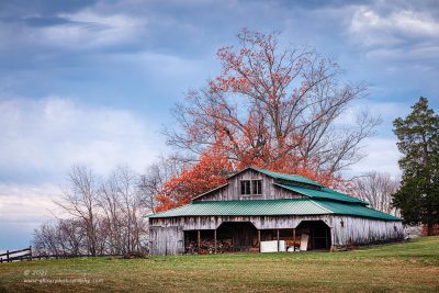 "Fall Has Fallen",   Canon 5DS R, 70-200mm f/2.8L Mk2, Singh-Ray Color Combo Polarizer