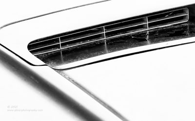 "To Drool For",   Canon 5DS R, 70-200mm f/2.8L Mk2, Singh-Ray Color Combo Polarizer, Converted to B&W in Lightroom