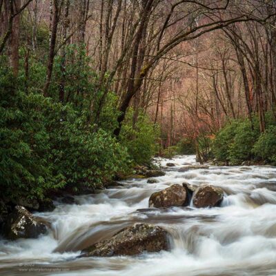 "Nature's Path",  Canon 5DS R, 24-70mm f/2.8L Mk2, Singh-Ray Color Combo Polarizer