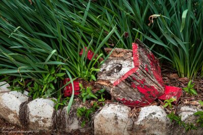 "Those That Remained",    Canon 5DS R, 24-70mm f/2.8L Mk2, Singh-Ray Color Combo Polarizer