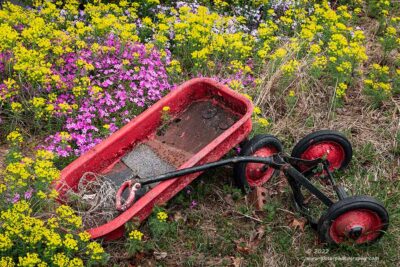 "Unloading Spring",   Canon 5DS R, 24-70mm f/2.8L Mk2, Singh-Ray Color Combo Polarizer