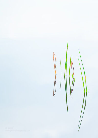 "Fellowship in Exile",   Canon 5DS R, 70-200mm f/2.8L Mk2, Singh-Ray Color Combo Polarizer