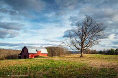 "The Land Gave All",   Canon 5DS R, 24-70mm f/2.8L Mk2, Singh-Ray Color Combo Polarizer, Galen Rowell 2-stop soft ND Grad