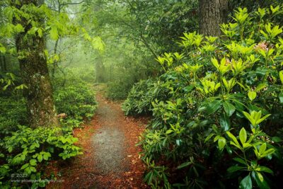 "Jeffress' Trail",   Canon 5DS R, 24-70mm f/2.8L Mk2, Singh-Ray Color Combo Polarizer
