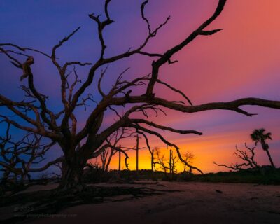 "Driftwood Blues",   Canon 5DS R, 16-35mm f/2.8L Mk2, No filters