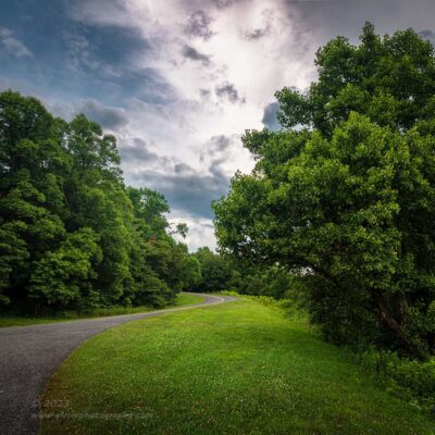 "Summer Lane",   Canon 5DS R, 16-35mm f/2..8L Mk2, Singh-Ray Color Combo Polarizer, 4 image HDR Blend