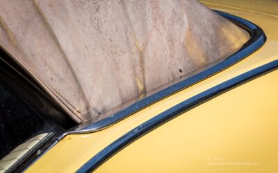"Cutlass on Canvas",   <a href="https://www.bhphotovideo.com/c/product/1119027-REG/canon_0582c002_eos_5ds_r_dslr.html/BI/21392/KBID/23763/DFF/d10-v21-t1-x604095/SID/DFF" target="_blank" rel="noopener">Canon 5DS R</a>, <a href="https://www.bhphotovideo.com/c/product/1414599-REG/canon_3044c002_ef_70_200mm_f_2_8l_is.html/BI/21392/KBID/23763/DFF/d10-v21-t1-x901618/SID/DFF" target="_blank" rel="noopener">70-200mm f/2.8L Mk2</a>, <a href="https://singh-ray.com/shop/lb-lighter-brighter-colorcombo-polarizer-color-intensifier/" target="_blank" rel="noopener">Singh-Ray Color Combo Polarizer</a>