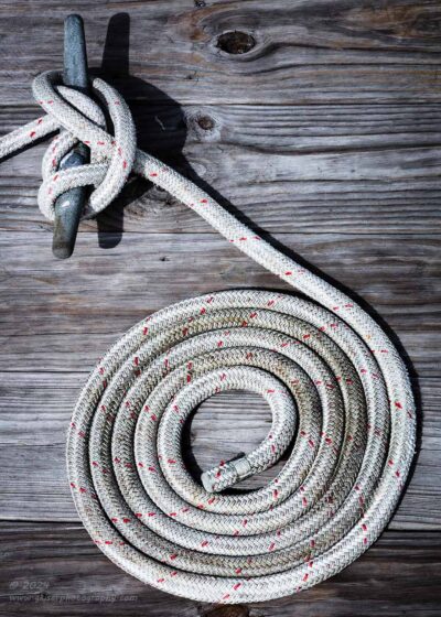 "All Coiled Up",   Canon 5DS R, 70-200mm f/2.8L Mk2, No filters