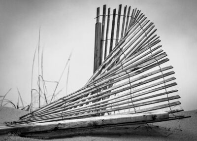 "Fanning",   <a href="https://amzn.to/3PdIp7e" target="_blank" rel="noopener">Canon 5DS R</a>, <a href="https://www.bhphotovideo.com/c/product/1414599-REG/canon_3044c002_ef_70_200mm_f_2_8l_is.html/BI/21392/KBID/23763/DFF/d10-v21-t1-x901618/SID/DFF" target="_blank" rel="noopener">70-200mm f/2.8L MK2</a>, No filter