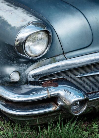"Hard Shell Shine",   Canon 5DS R, 70-200mm f/2.8L Mk2, Singh-Ray Color Combo Polarizer