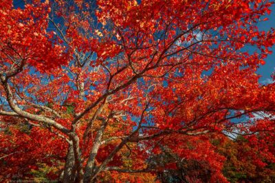 "Fire Season",   Canon 5DS R, 16-35mm f/2.8L Mk2, Singh-Ray Color Combo Polarizer