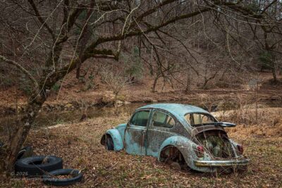 "The Dormant Season",  Canon 5DS R, 24-70mm f/2.8L Mk2, Singh-Ray Color Combo Polarizer