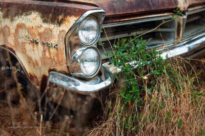 "Still Grand",   Canon 5DS R, 24-70mm f/2.8L Mk2, Singh-Ray Color Combo Polarizer