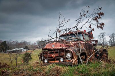 "Unable to Branch Out",   Canon 5DS R, 24-70mm f/2.8L Mk2, Singh-Ray Color Combo Polarizer, Galen Rowell 3-stop soft ND Grad