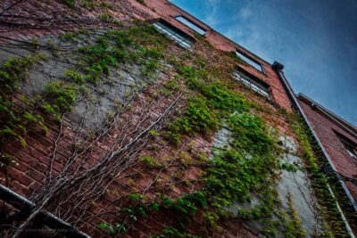 "The Wall",   Canon 5DS R, 24-70mm f/2.8L Mk2, Singh-Ray Color Combo Polarizer, Galen Rowell 3-stop soft ND Grad
