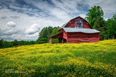 "Golden Floor",   <a href="https://www.bhphotovideo.com/c/search?q=used%20canon%205DS%20R&sts=ma&BI=21392&KBID=23763&SID=DFF&DFF=d50" target="_blank" rel="noopener">Canon 5DS R</a>, <a href="https://www.bhphotovideo.com/c/product/843008-USA/Canon_5175B002_EF_24_70mm_f_2_8L_II.html/BI/21392/KBID/23763/DFF/d10-v21-t1-x342278/SID/DFF" target="_blank" rel="noopener">24-70mm f/2.8L Mk2</a>, <a href="https://singh-ray.com/shop/lb-lighter-brighter-colorcombo-polarizer-color-intensifier/" target="_blank" rel="noopener">Singh-Ray Color Combo Polarizer</a>