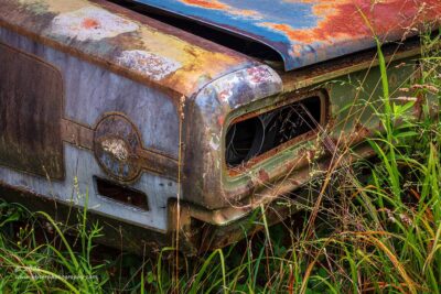 "Not So Super Bee",   Canon 5DS R, 70-200mm f/2.8L Mk2, Singh-Ray Color Combo Polarizer