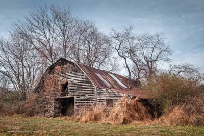 "More Than a Few Seasons",   Canon 5DS R, 16-35mm f/2.8L Mk2, Singh-Ray Color Combo Polarizer