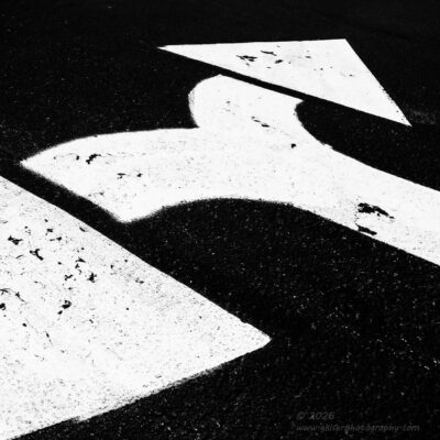 "Decisions, Decisions",   Canon 5DS R, 16-35mm f/2.8L Mk2, Singh-Ray Color Combo Polarizer